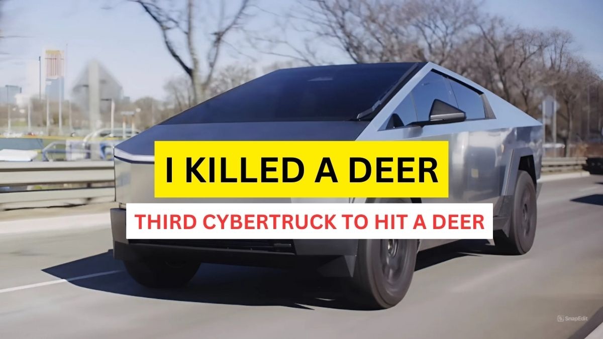 I Unfortunately Killed A Deer Going 50 Mph In My Tesla Cybertruck – I’m ...